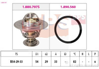Thermostat, coolant Made in Italy - OE Equivalent