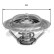 Thermostat, coolant TH25276G1 Gates