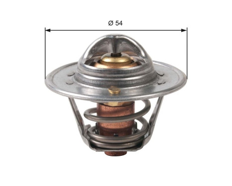 Thermostat, coolant TH45790G1 Gates