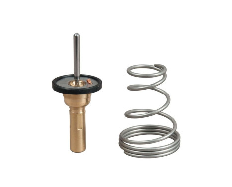 Thermostat, coolant TH49682G1 Gates