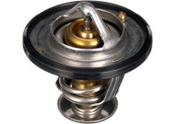 Thermostat, coolant TH56189G1 Gates