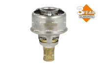 Thermostat, coolant