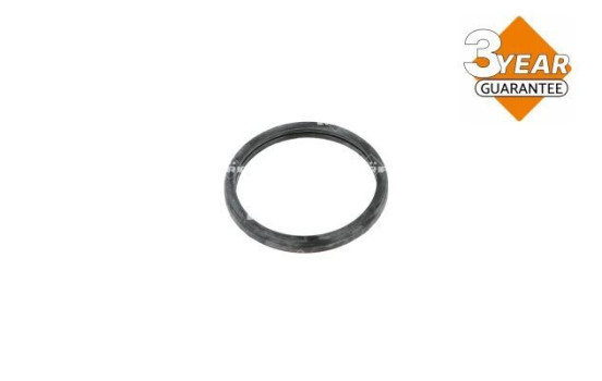 Thermostat, coolant, Image 7