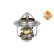Thermostat, coolant