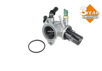 Thermostat, coolant
