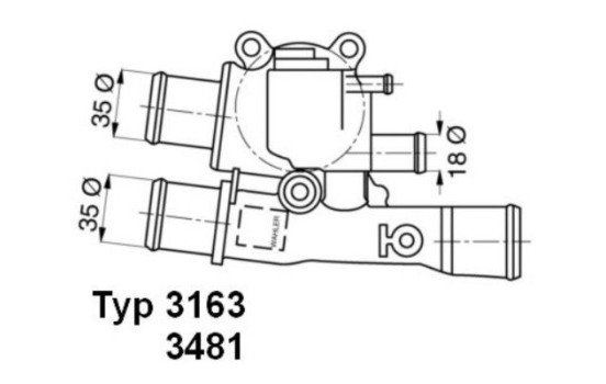Thermostat, coolant