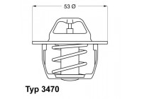 Thermostat, coolant