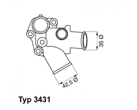 Thermostat, coolant
