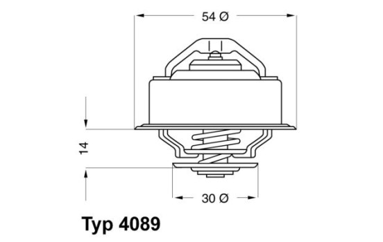 Thermostat, coolant