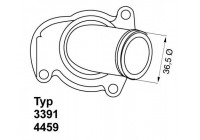 Thermostat, coolant