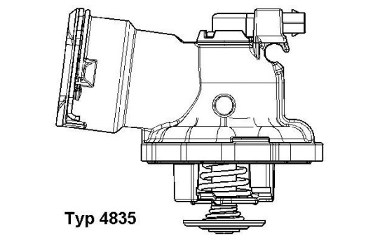 Thermostat, coolant