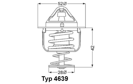Thermostat, coolant