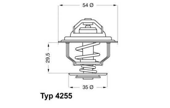 Thermostat, coolant