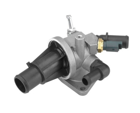 Thermostat, coolant
