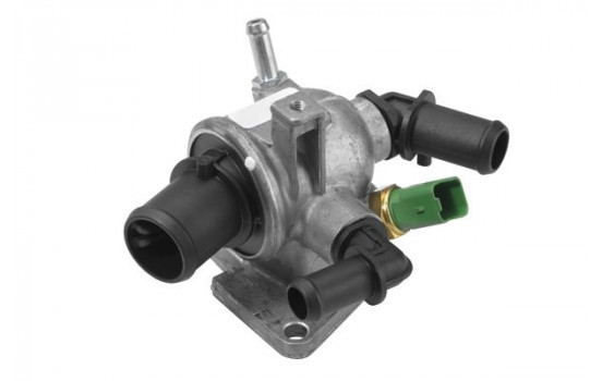 Thermostat, coolant