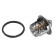 Thermostat, coolant, Thumbnail 2