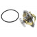 Thermostat, coolant, Thumbnail 3