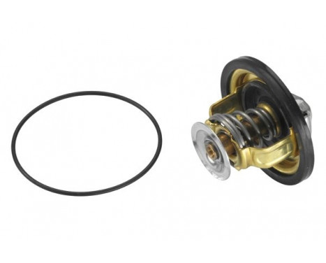 Thermostat, coolant, Image 2