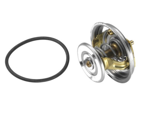 Thermostat, coolant