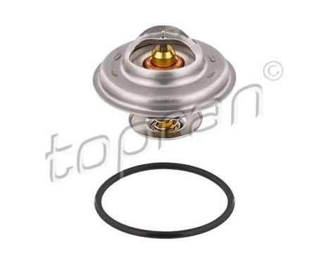 Thermostat, coolant