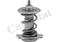 Thermostat, coolant