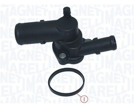 Thermostat, coolant