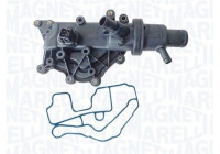 Thermostat, coolant