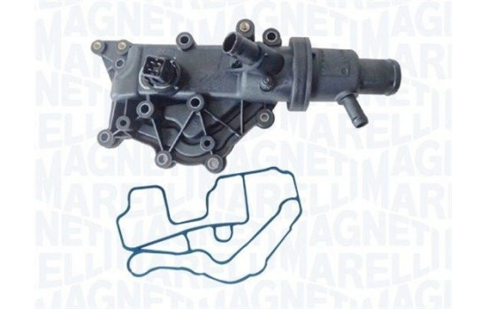 Thermostat, coolant