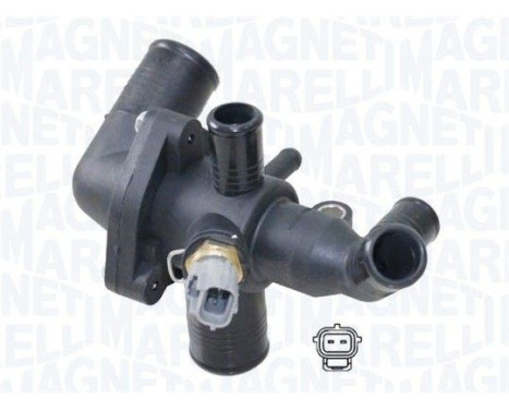 Thermostat, coolant