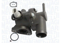 Thermostat, coolant