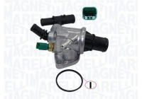 Thermostat, coolant
