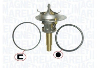 Thermostat, coolant