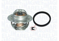 Thermostat, coolant
