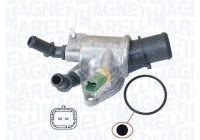 Thermostat, coolant