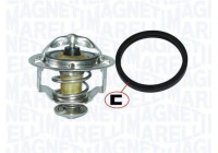 Thermostat, coolant