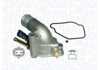 Thermostat, coolant