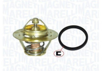 Thermostat, coolant