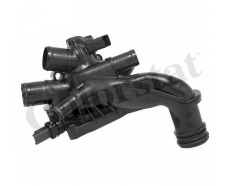 Thermostat, coolant