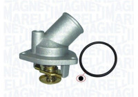 Thermostat, coolant