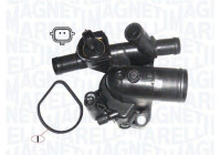 Thermostat, coolant