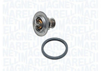 Thermostat, coolant