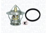 Thermostat, coolant
