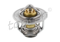 Thermostat, coolant