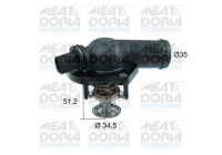Thermostat, coolant