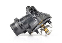 Thermostat, coolant