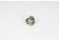 Thermostat, coolant