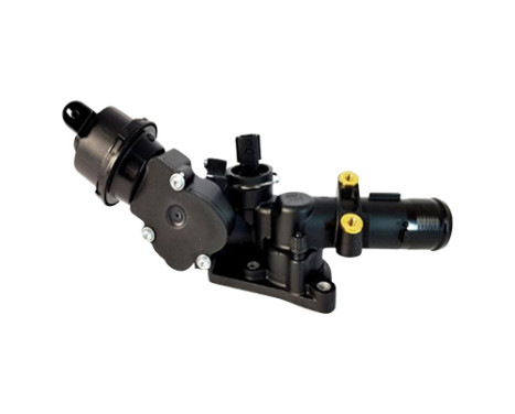 Thermostat, coolant