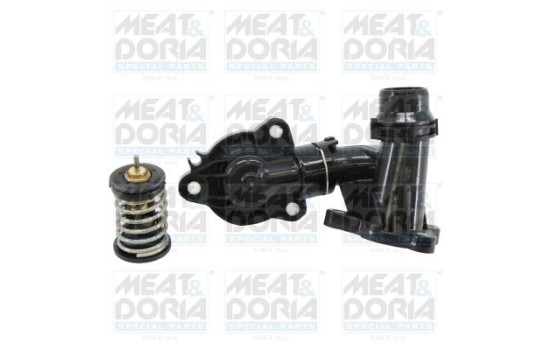 Thermostat, coolant