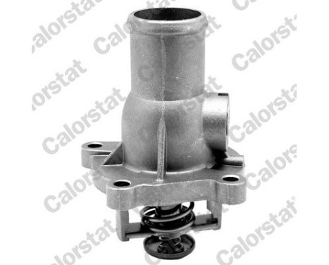 Thermostat, coolant