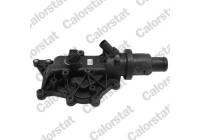 Thermostat, coolant